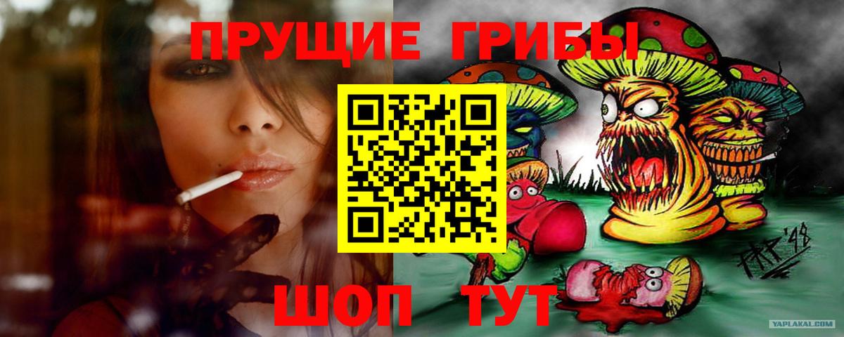 Псилоцибиновые грибы Psilocybe Кимры